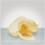 Shobha Exfoliating Cloth